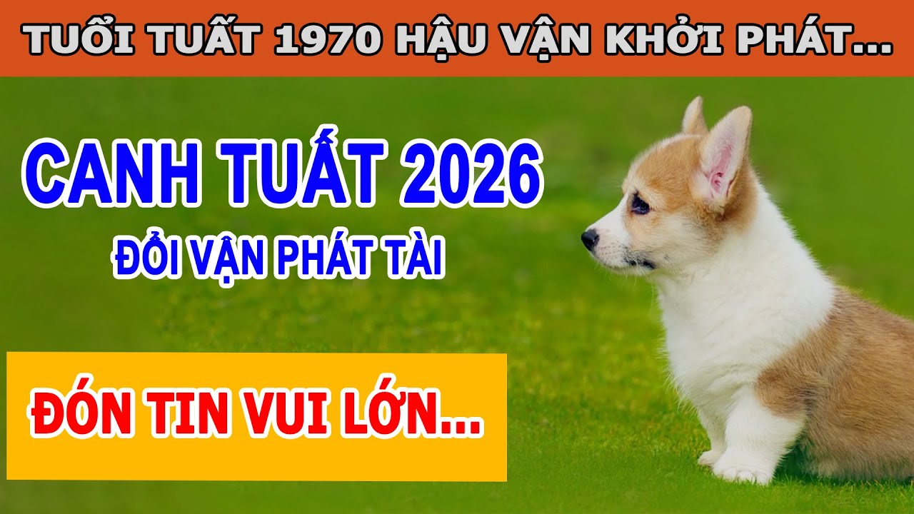 Tử Vi 2026 Tuổi Canh Tuất 1970 Khai Mở Tài Lộc Đón Hậu Vận Giàu Sang - Tử Vi Cổ Học