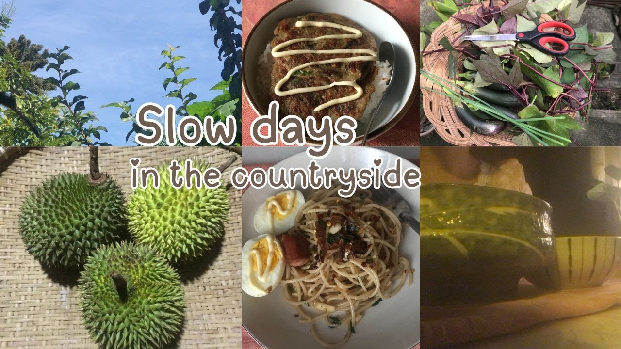 Slow days in the countryside🌴|starting the year slow but w/ intention🧘🏻‍♀️garden harvest🧺 #slowlife 