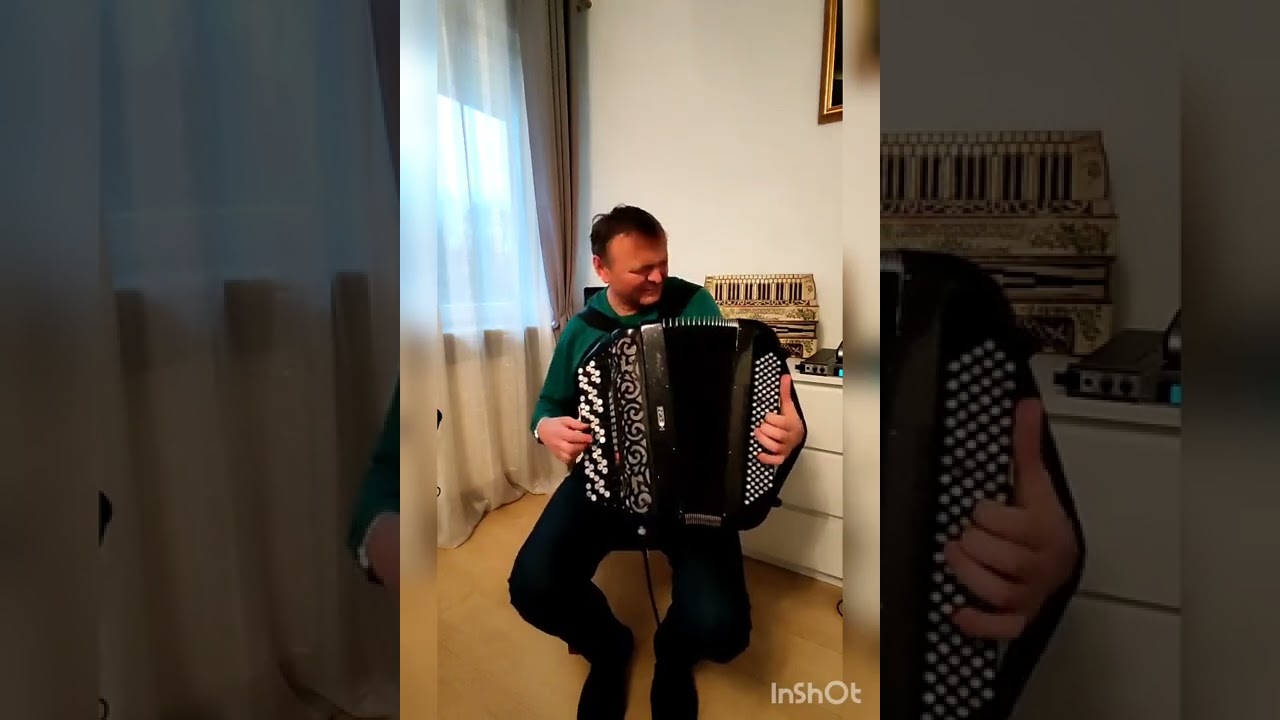 J.Brahmes - Hungarian dance no 5 - Dariusz Swinoga accordion