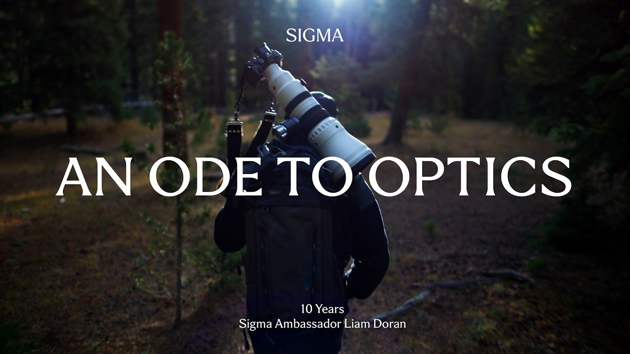 Ода оптике — профессиональный фотограф размышляет о 10 годах работы в компании Sigma.