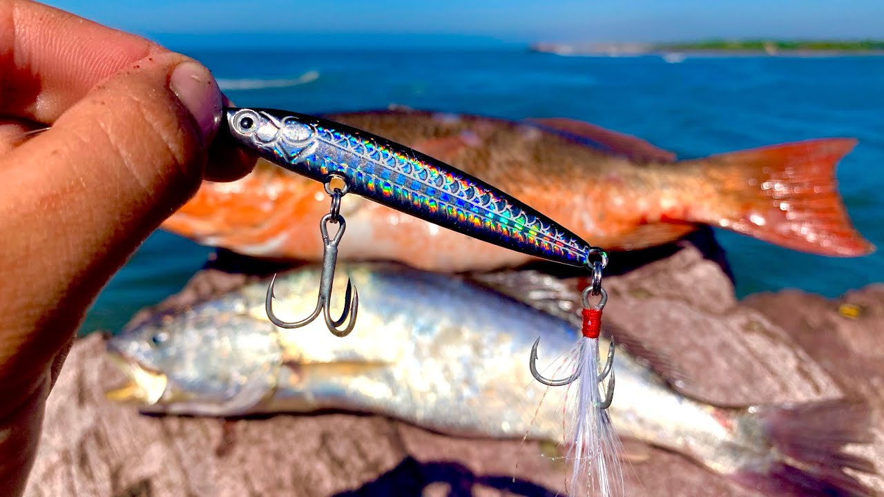 Con este tipo de SEÑUELO capture Varias ESPECIES || pesca de ORILLA con JIGS.