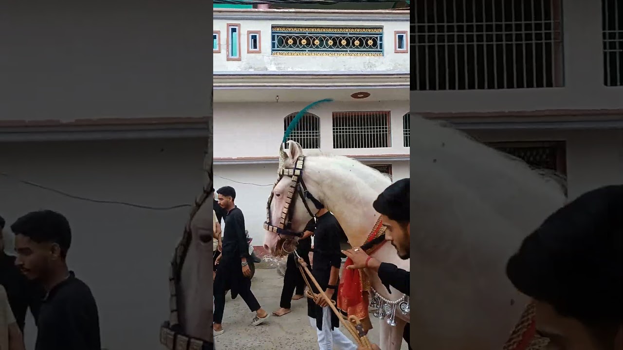 2 muharram Akbarpur Ambedkar Nagar Uttar Pradesh 
