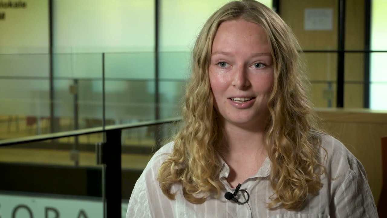 BA i Market and Management Anthropology på SDU