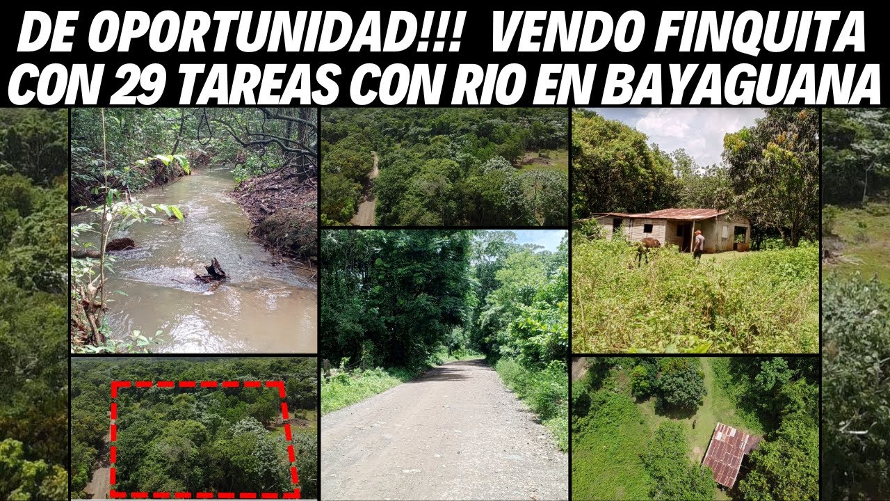 Finquita de 29 tareas con río en Bayaguana Buena para Hacer Casa para Vivir o Descansar en el Campo