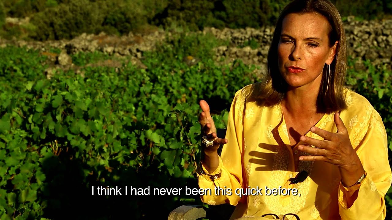 Genesis of Sangue d'Oro passito wine