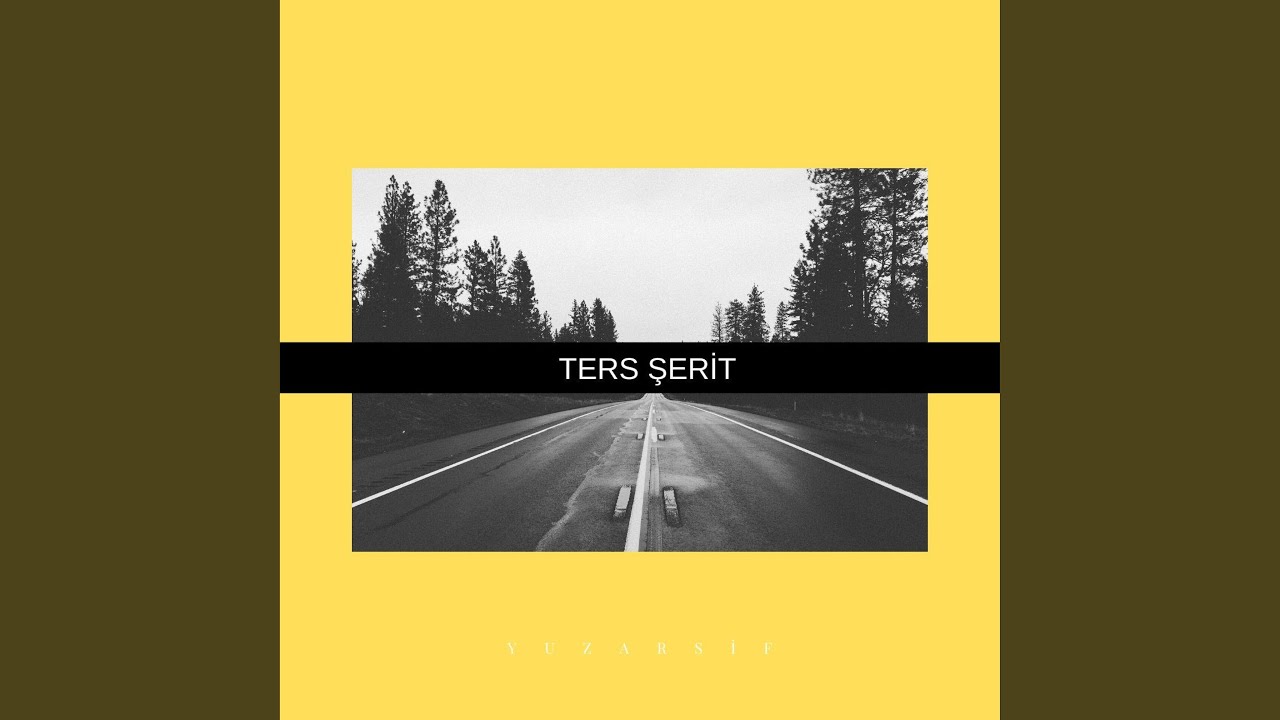 Ters Şerit