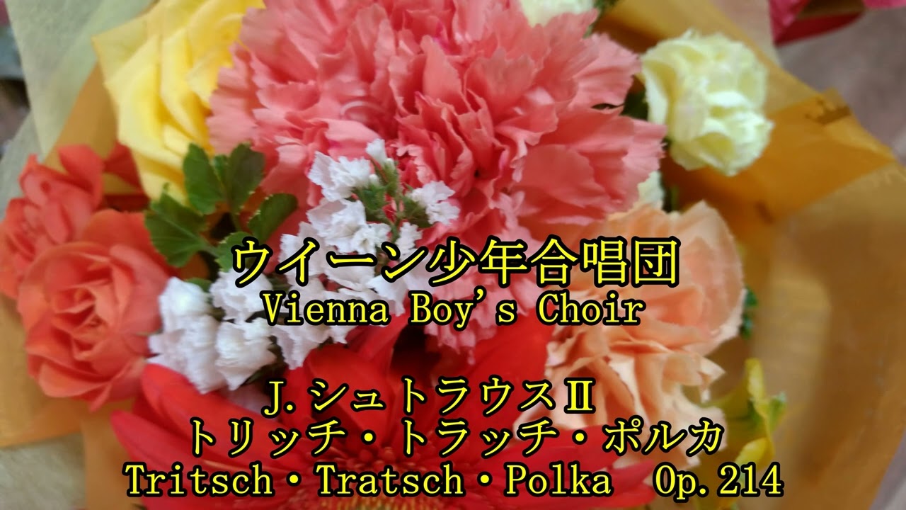 ウィーン少年合唱団　　J.シュトラウス二世　トリッチ・トラッチ・ポルカ　　　　J.StraussⅡ　　Tritsch-Tratsch-Polka  Op.214
