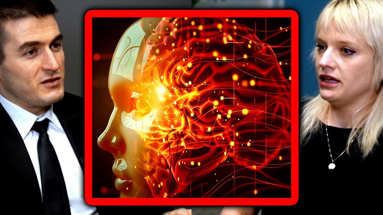 Lex Fridman on AI consciousness