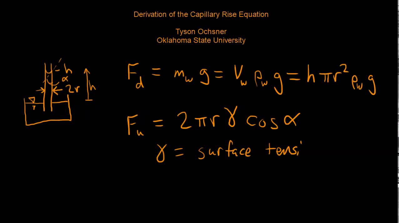 Capillary rise equation