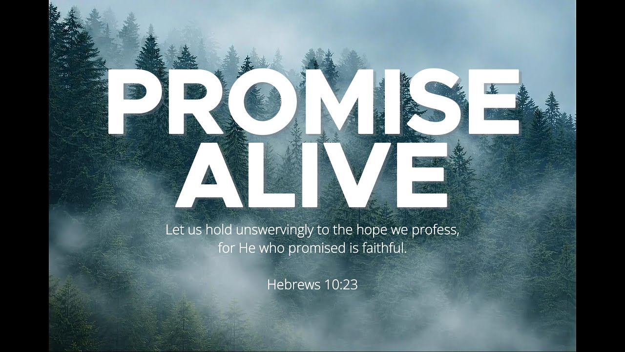 Promise Alive | Holding On to God’s Promise