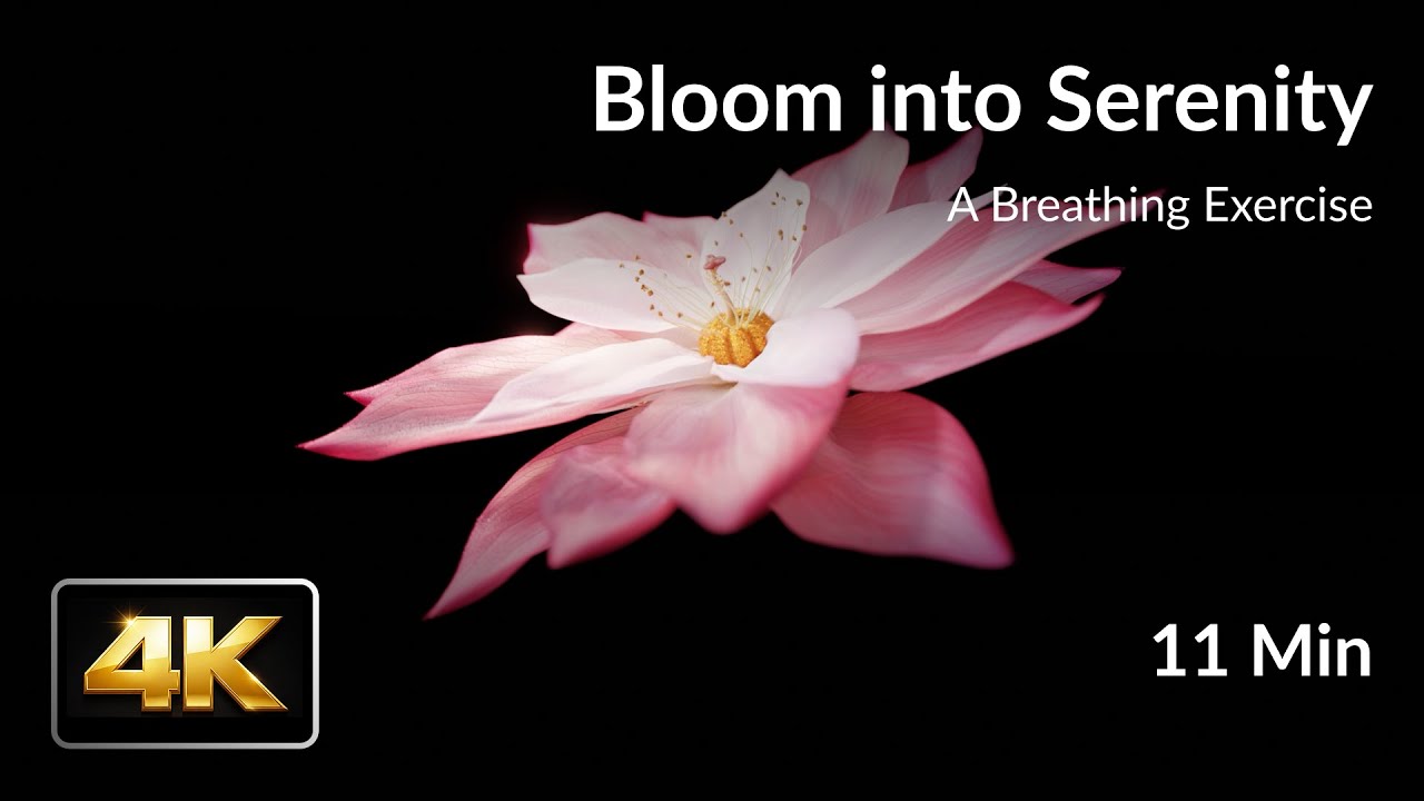 Floating Lotus | 4K Minimal Calm Ambience – Guided Breathing ASMR Soundscape