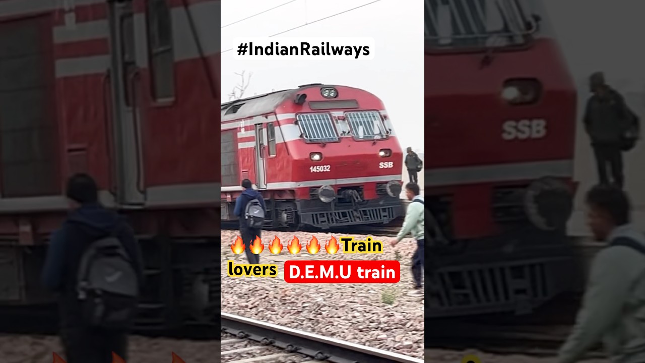 New Look Demu train 