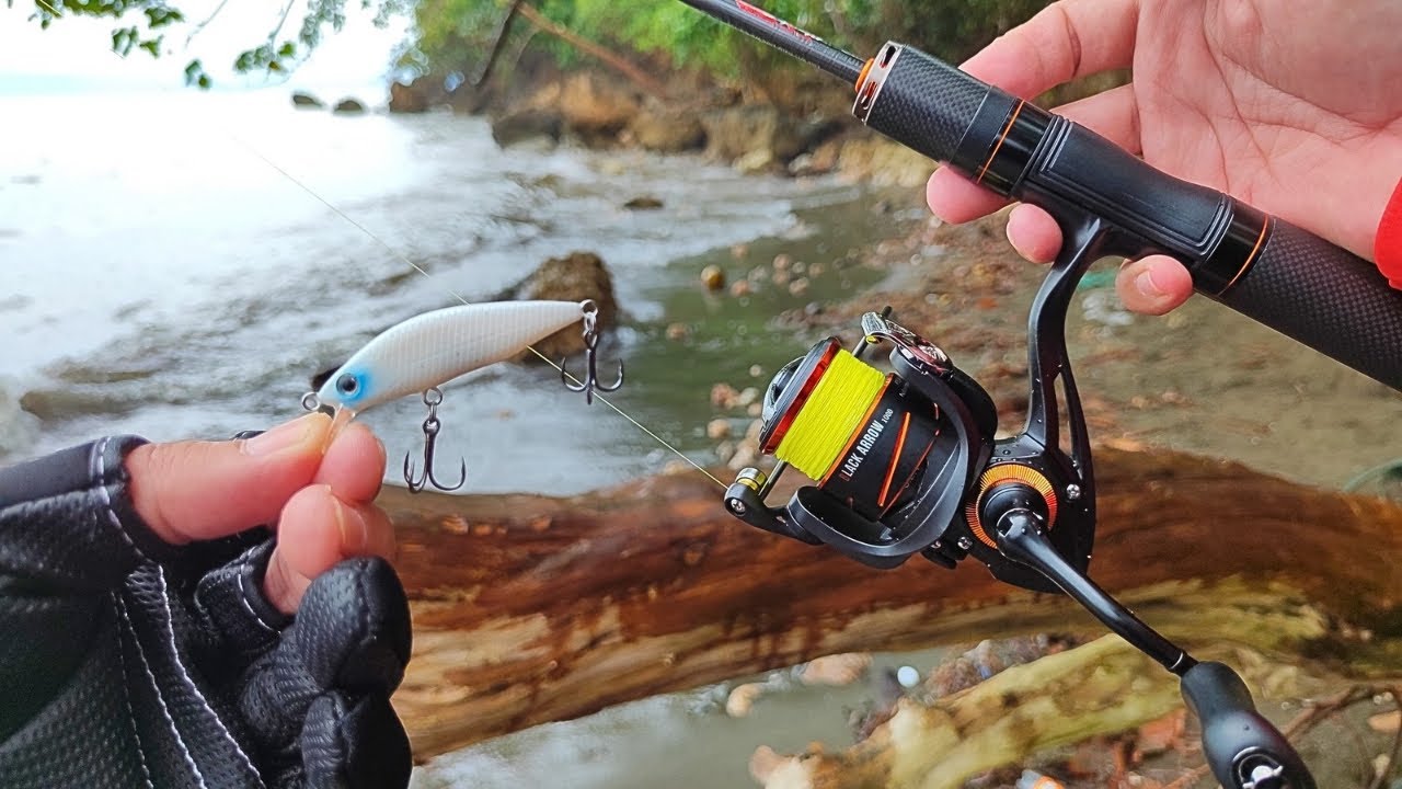 One Lure Fishing Challenge | Bearking x Seasir Black Arrow Tackle