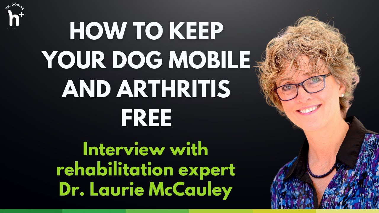 EXPERT GUIDE: How to Keep Your Dog Mobile and Arthritis Free