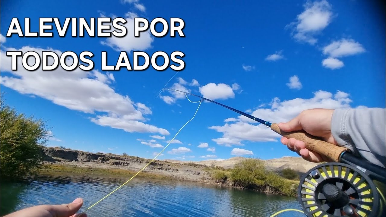 RÍO SENGUER, CHUBUT. PESCA Y COCINA EN EL MEDIO DE LA PATOGONIA. DÍA ESPECTACULAR
