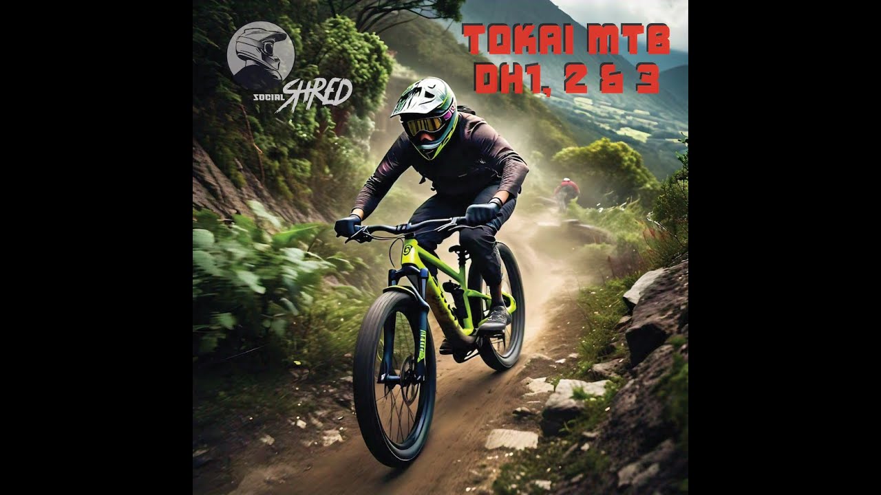 TOKAI MTB DH1,2 &3