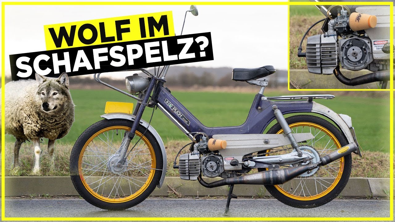Freund fährt den schnellsten Puch Maxi Sleeper der Welt! 74 ccm, über 100 km/h.