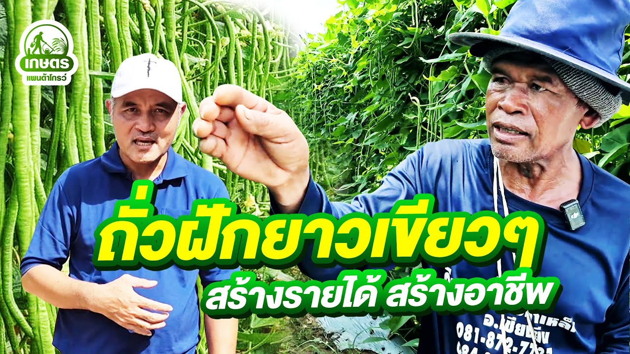 พ่อฮู่ ปุ๋ยแพนต้าโกรว์ Full