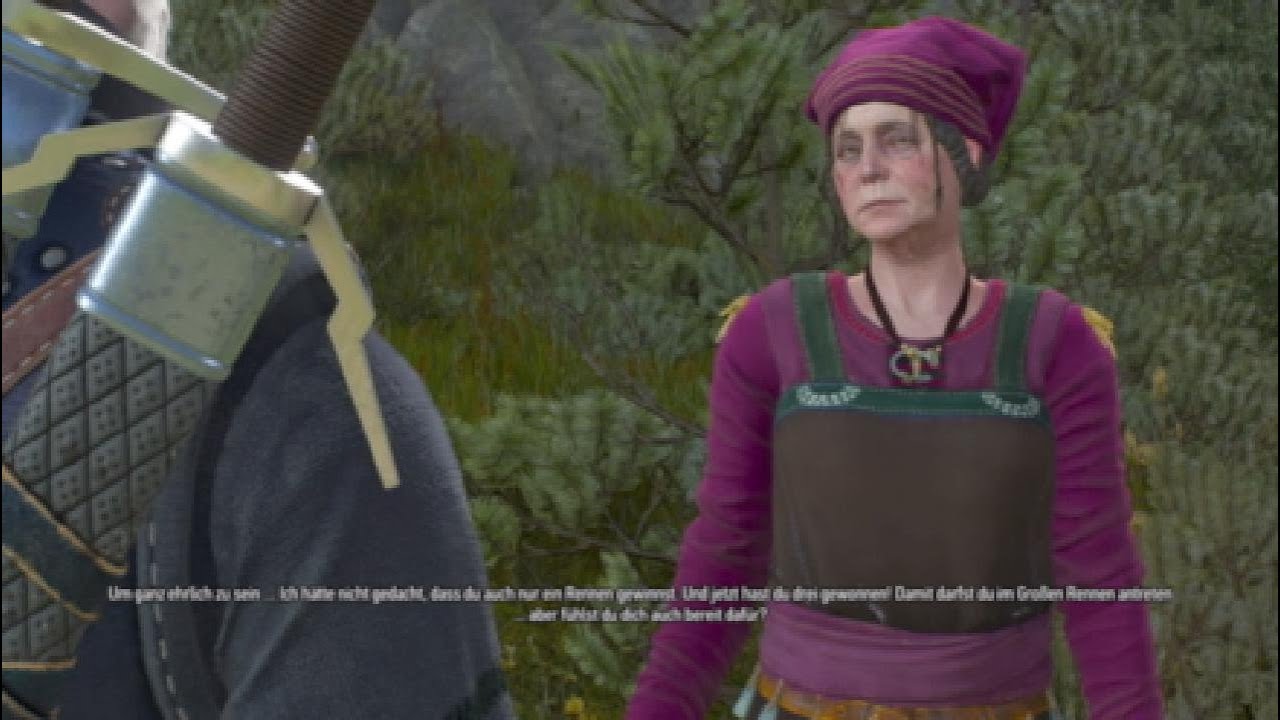 The Witcher 3: Wild Hunt Flott und furios (Komplettes Rennen)
