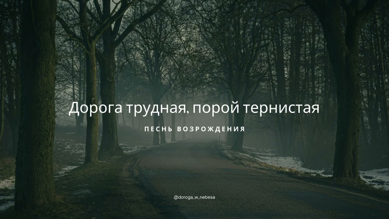 Дорога трудная, порой тернистая | Песнь Возрождения 2025🔥