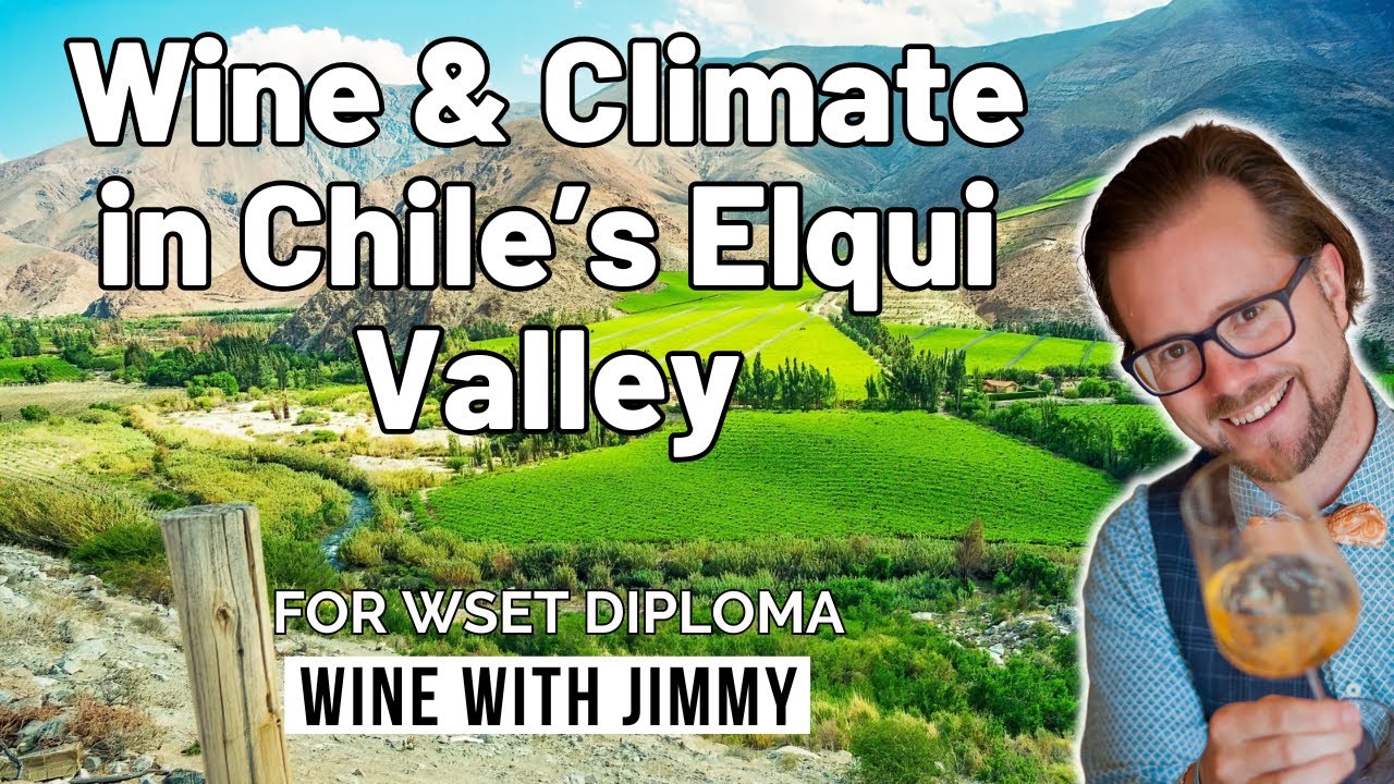 Exploring Elqui Valley: Syrah, Sauvignon Blanc & the Future of Chilean Wines 🍷