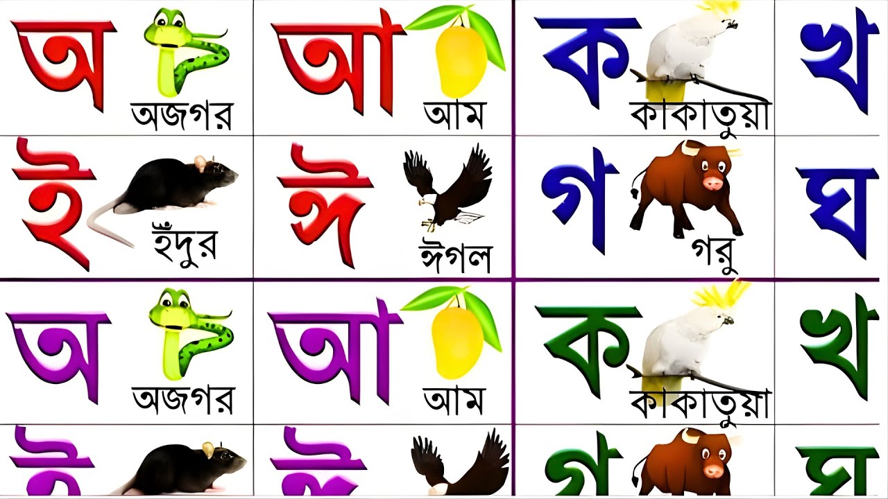 বাংলা বর্ণমালা শিখি | ব্যঞ্জনবর্ণ ক খ গ ঘ | স্বরবর্ণ অ আ ই ঈ | Bengali School | Bangla Bornomala