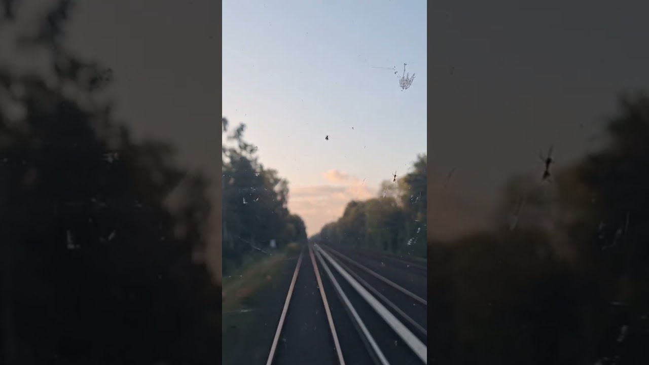 S3 Krupunder nach Halstenbek