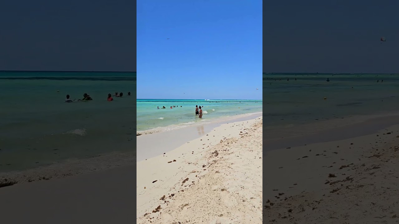 Today! The Reef Resort Playacar beach Playa del Carmen Mexico tropical Caribbean Sea life 