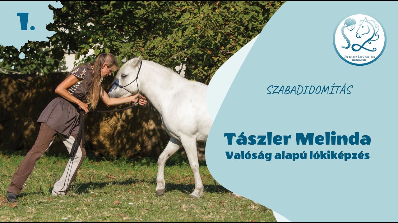Szabadidomítás #1: Valóság alapú lókiképzés