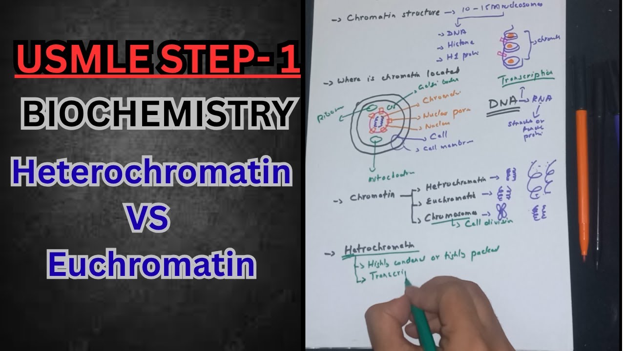 Biochemistry Lecture from USMLE Step-1- Part-2- Heterochromatin and Euchromatin 