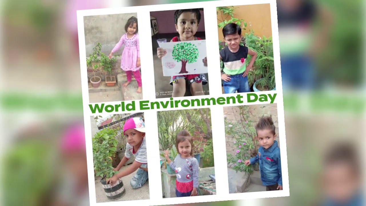 World environment day celebration