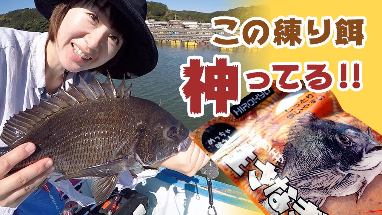さなぎ練り餌を使ってみたら、黒鯛が入れ食い！（有岡渡船）