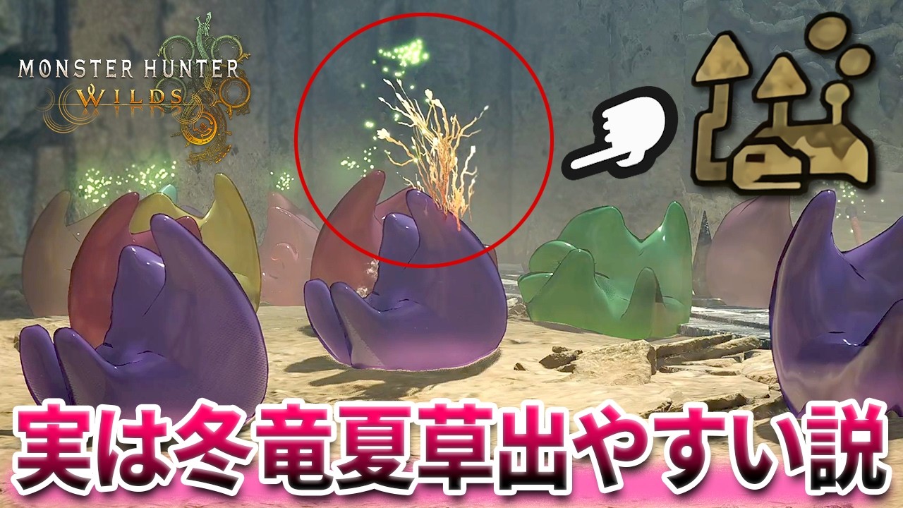 【検証】『新イベクエが実は冬竜夏草でやすい説』を調べたら変なバグが起きて面白すぎたｗ【モンハンワイルズ】