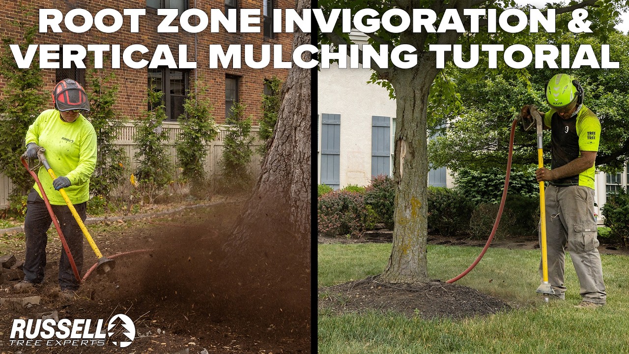 Инструкция по проведению: активизация корневой зоны и вертикальное мульчирование