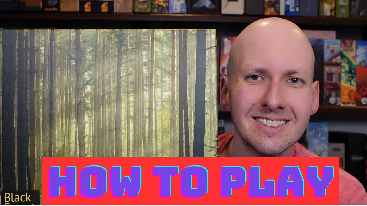 Black Forest How to Play & Strategy Tips
