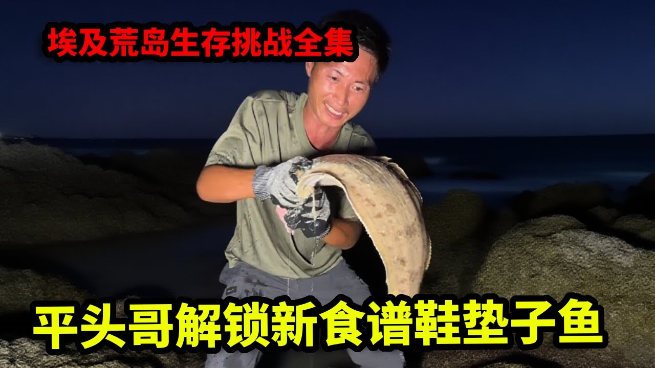 埃及荒岛生存挑战全集：半夜驱逐庇护所的入侵者，平头哥赶海解锁新食谱鞋垫子鱼，扩大搜索范围海货越来越奇怪【户外平头哥】