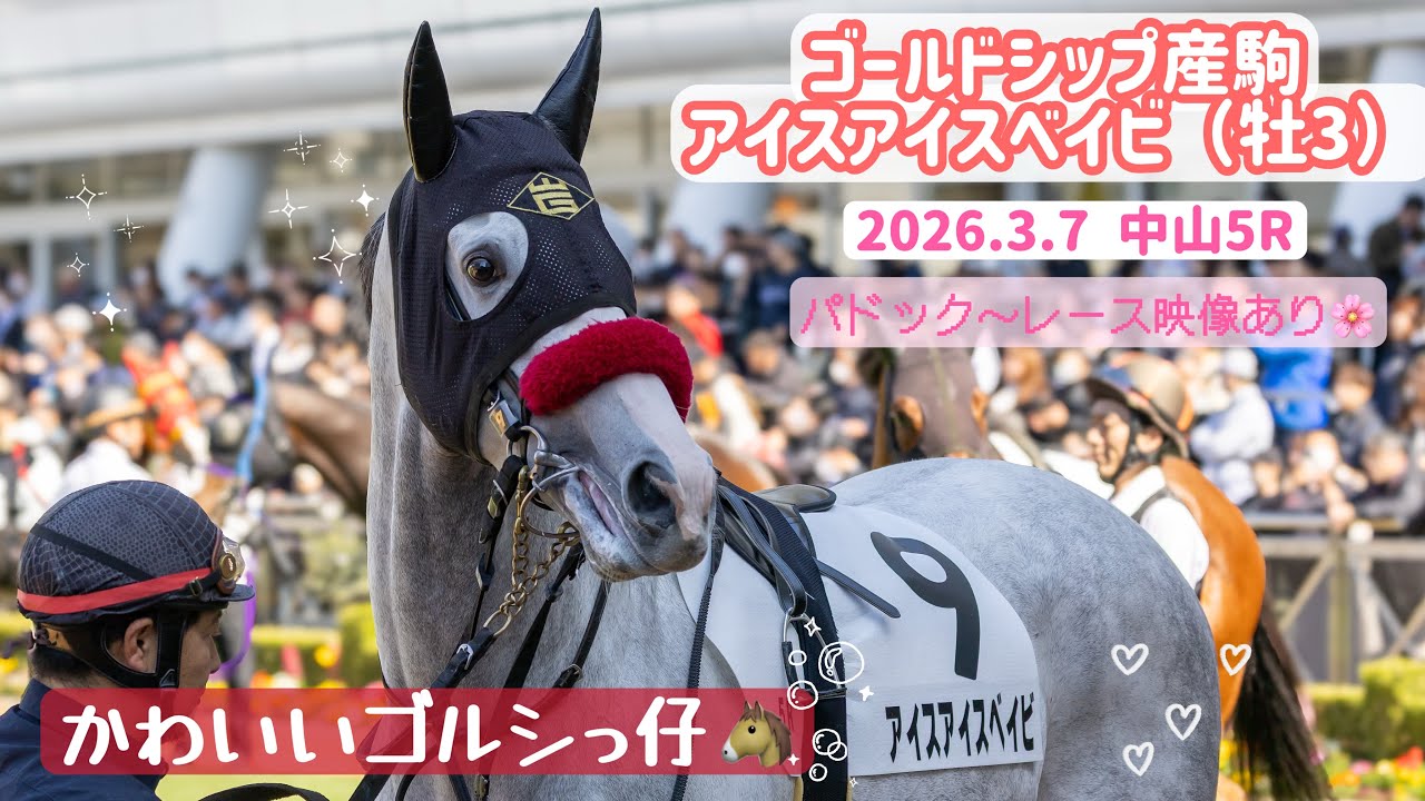 【ゴールドシップ産駒】どろんこ姿で帰ってきたかわいいゴルシっ仔‼️