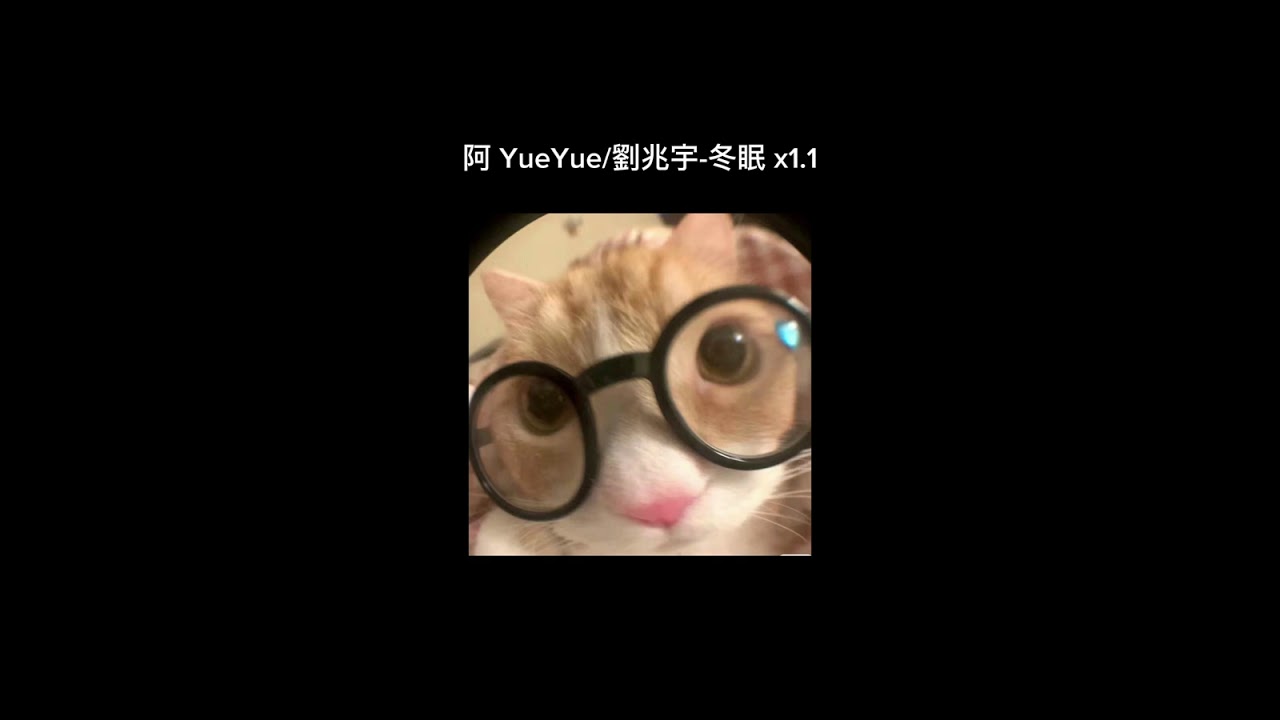 阿 YueYue/劉兆宇-冬眠 x1.1 (sped up)