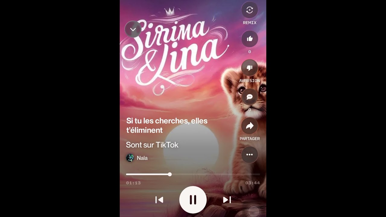 Sont sur tiktok