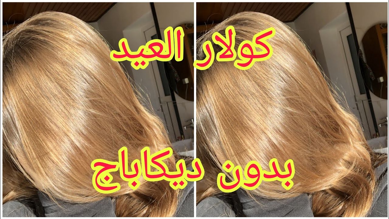 ميلونج لوريات الي دار حالة بدون ديكاباج هبال نتاع الدنيا