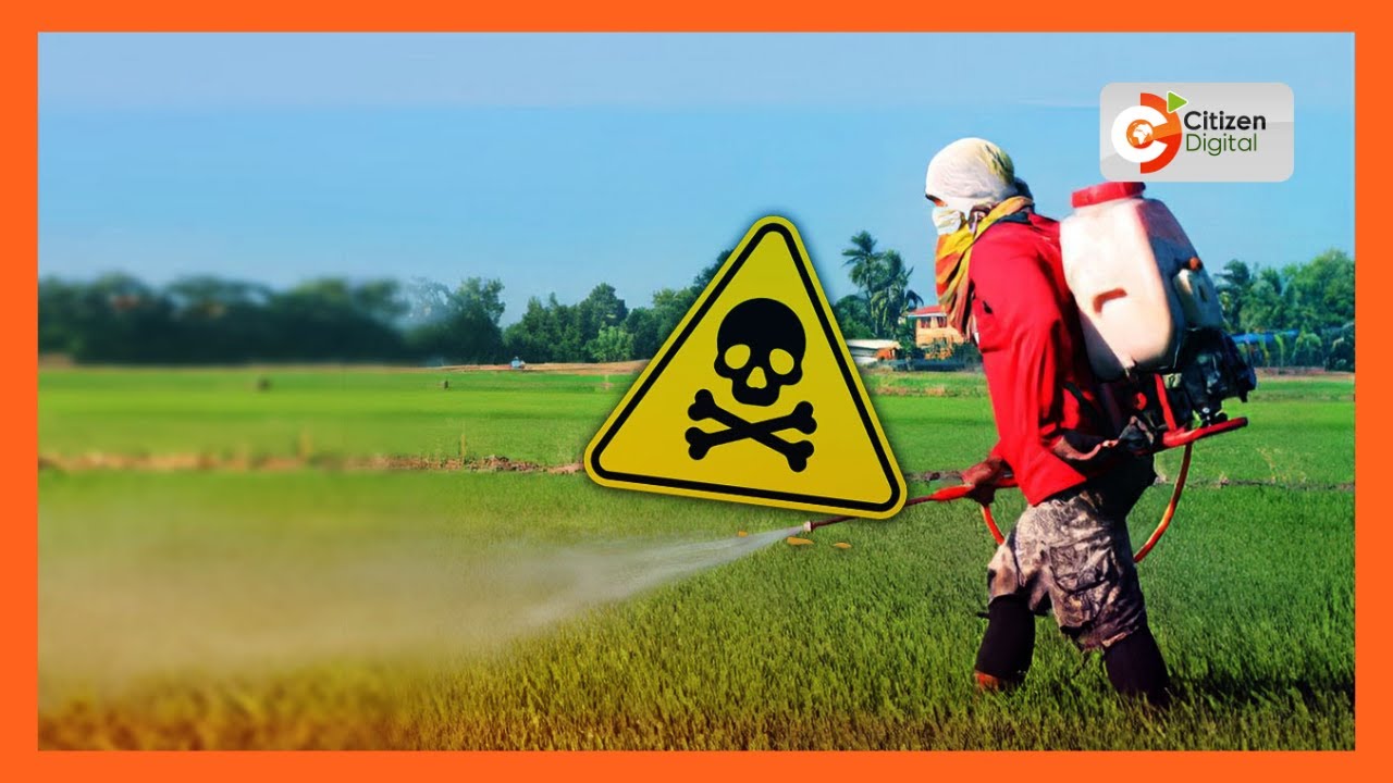 Reports reveal half of the pesticides used by farmers are toxic