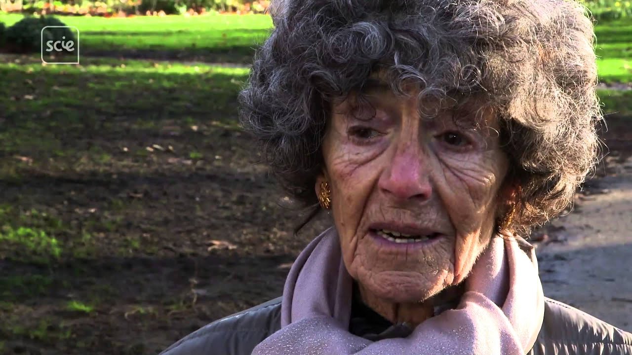 Palliative care or 