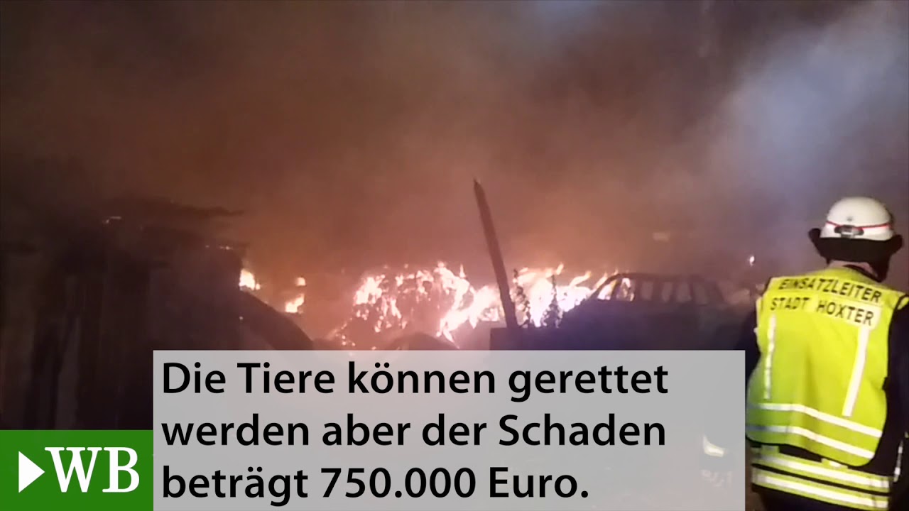 750.0000 Euro Schaden bei Großbrand in Höxter