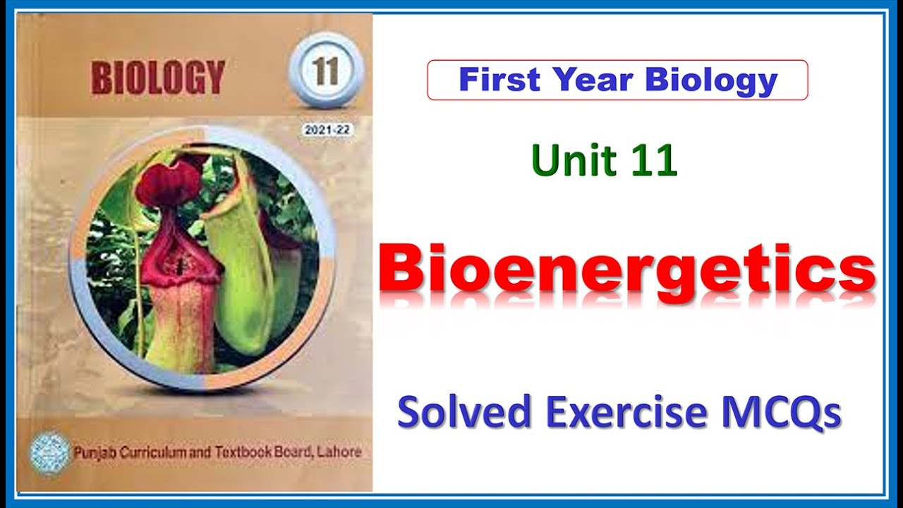 Bioenergetics.11Class Biology Chapter 11 Solved Exercise MCQS #BiologyMCQS|#Bioenergetics,#XIBiology