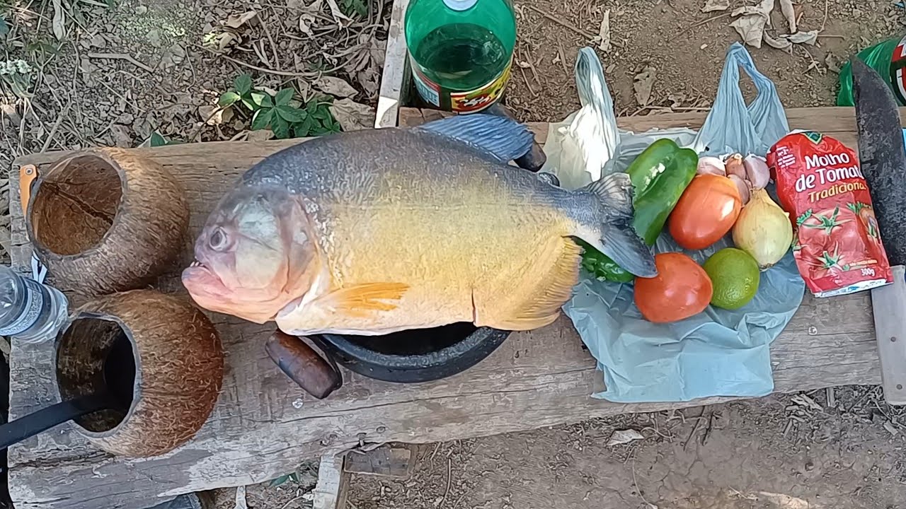 Caldo de peixe piranha preparado na beira do rio! muito bom nesse frio do inverno!!!!