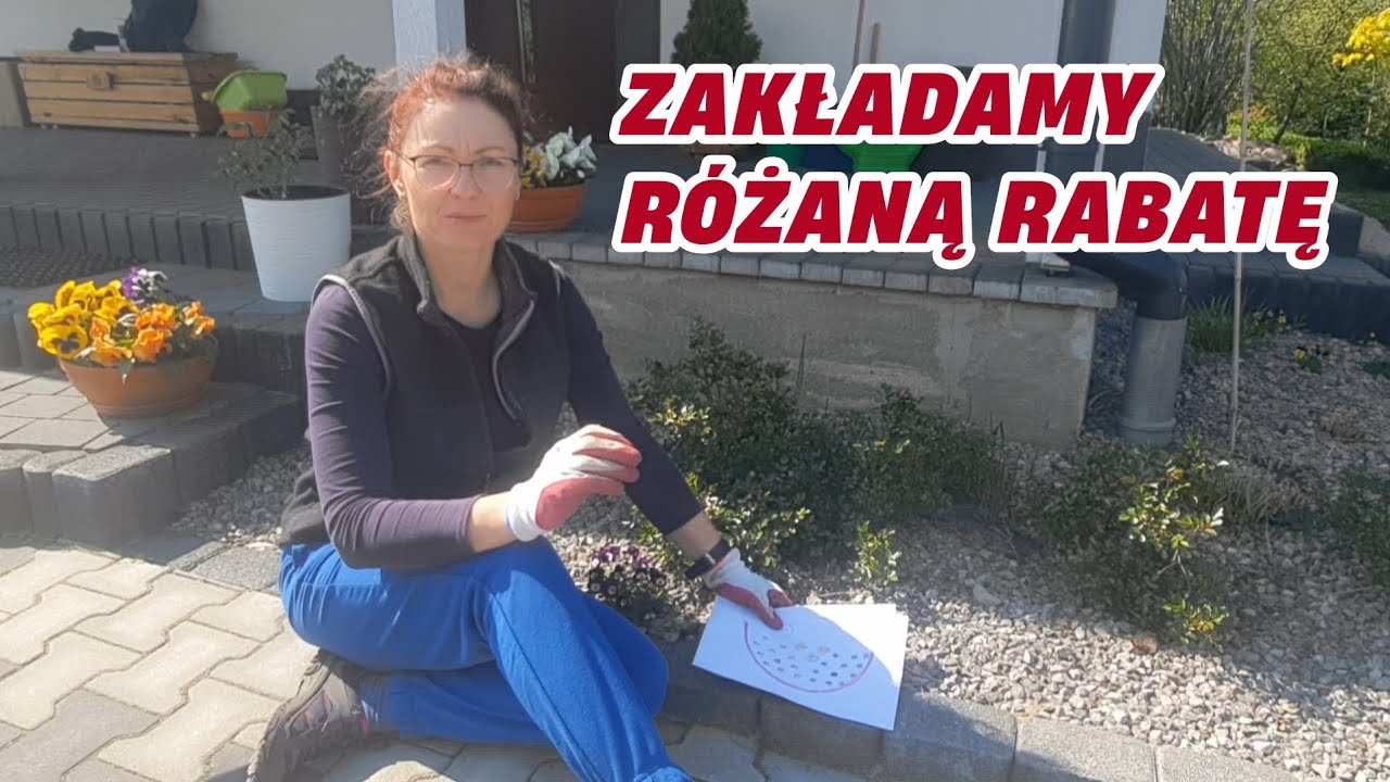 Zakładamy różaną rabatę! Sadzenie róż goły korzeń i róż z donic || Rozaria.pl