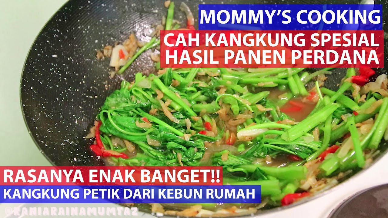 [MOMMY'S COOKING] CAH KANGKUNG SPESIAL HASIL PANEN PERDANA