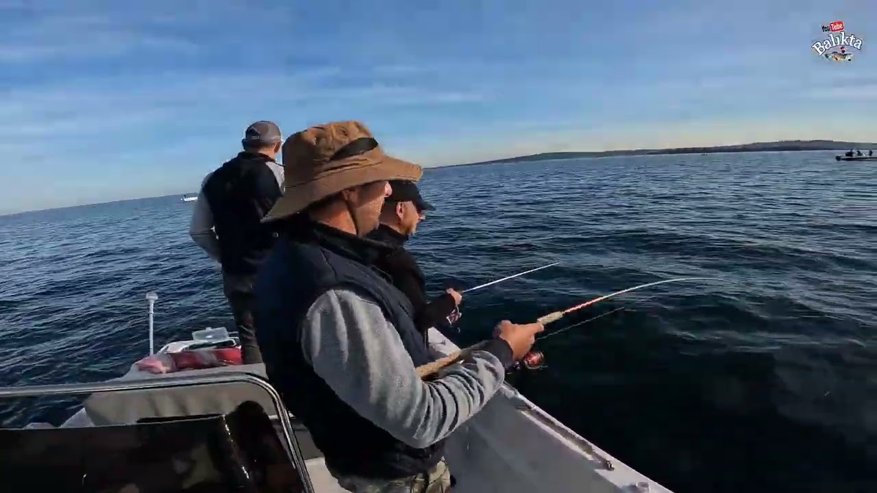 JİG İLE LÜFER ÇİNEKOP BALIK AVI  - KEFKEN - #fishing