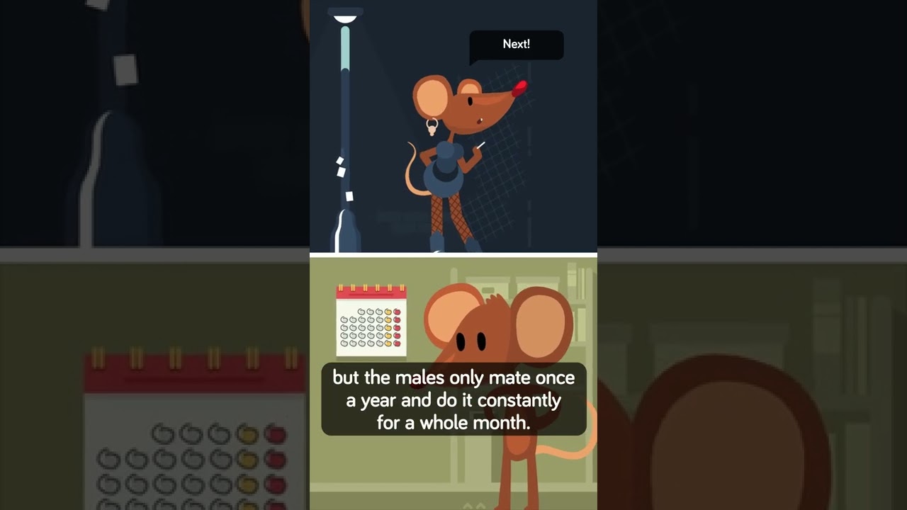 Which Species Have the Most Sex 