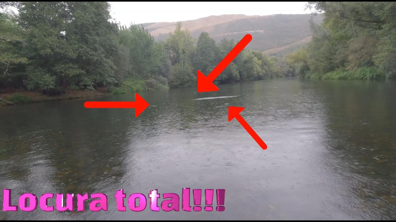Pesca de locura: truchas voraces a cebar -  Y una tormenta que me arruino el sereno ⛈️⛈️⚡